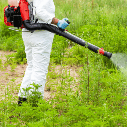 Mosquito Abatement Service in Plano TX 2