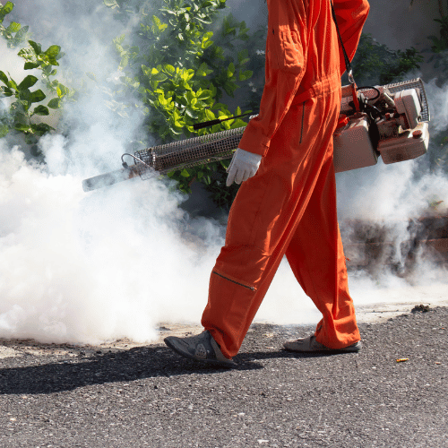 Mosquito Abatement Service in Plano TX 3