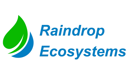 Rain Drop Ecosystems